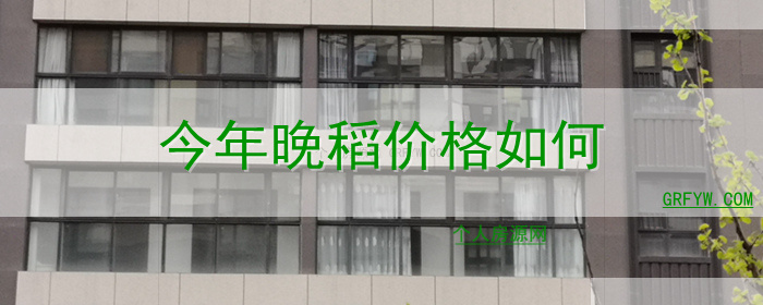 今年晚稻价格如何