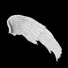 你以为耐克的LOGO商标只是个勾?那就大错特错了 你以为耐克的LOGO商标只是个勾?那就大错特错了