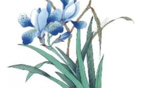 45类别“兰小草”商标注册成功 45类别“兰小草”商标注册成功