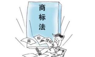 申请人的商标注册数量能否成为“不正当”的决定性因素? 申请人的商标注册数量能否成为“不正当”的决定性因素?