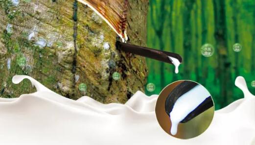 乳胶商标注册属于第几类? 乳胶商标注册属于第几类?