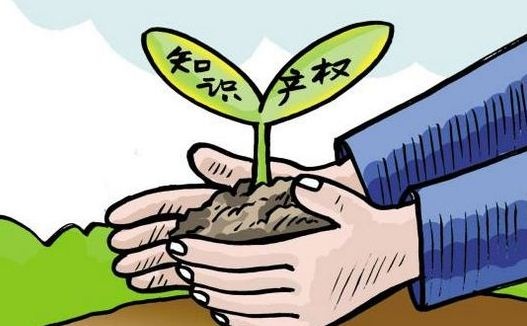 代办商标注册费用