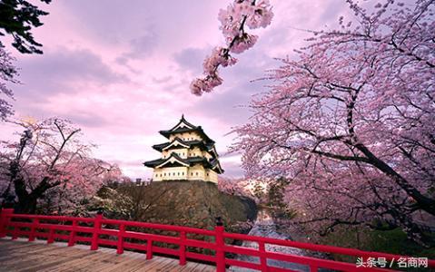 日本商标查询(国家商标注册查询网)