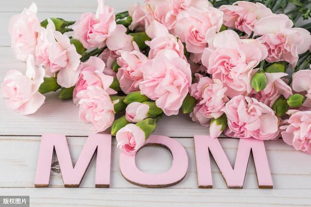 企业状态查询(企业信息查询系统)