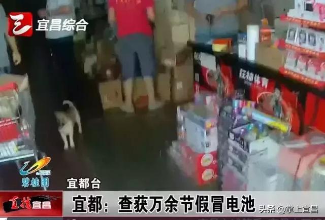 电池查询真伪(天能电池查询真伪)