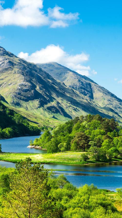 南京酒多少钱 南京n酒多少钱