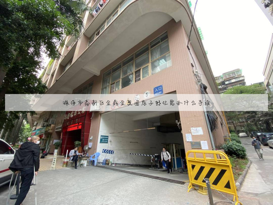 珠海市高新区金鼎金奥园房子转让需办什么手续