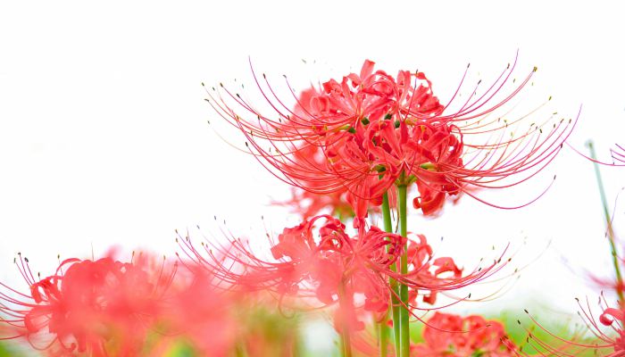 2022年10月有几天黄道吉日 2022年10月好日子一览表