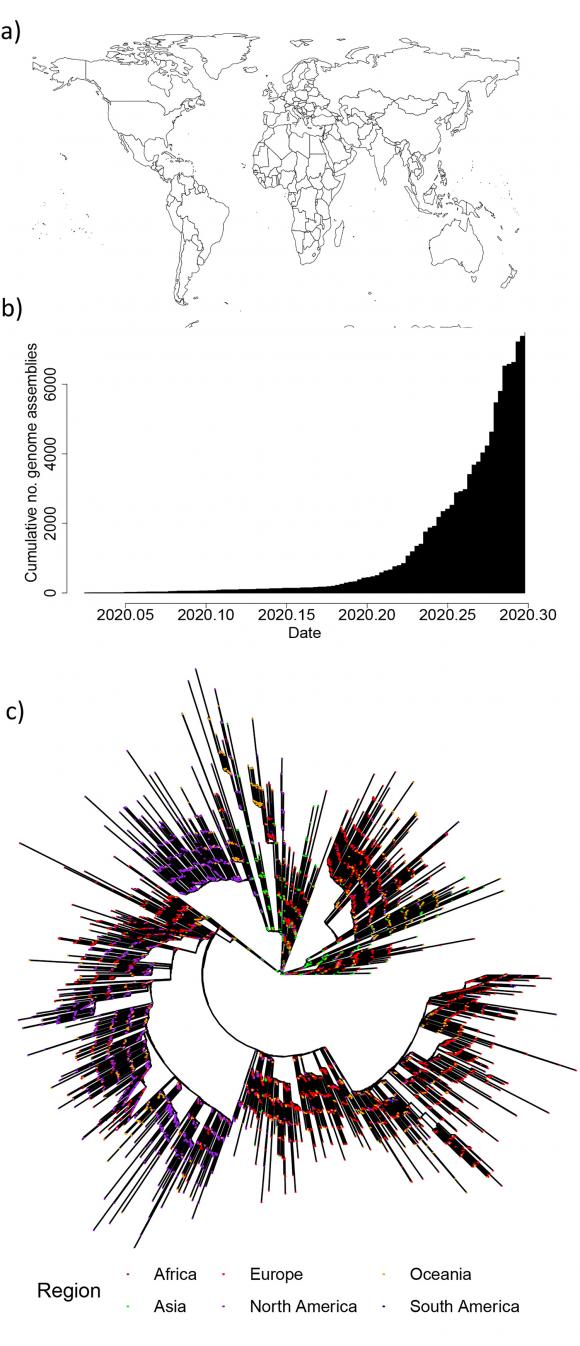 疫情什么时候开始的准确时间（新冠最早始于2019年十月）
