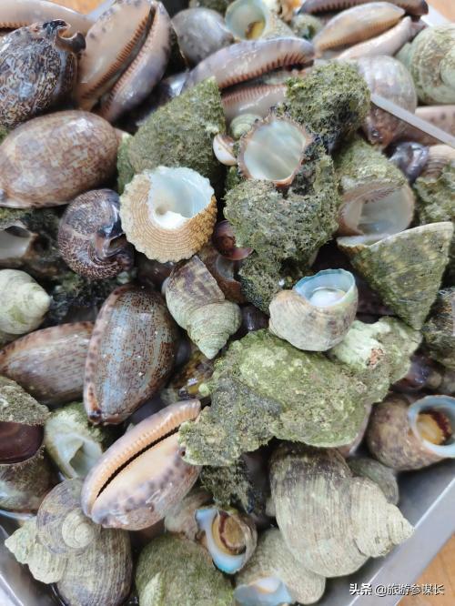 去三亚旅游一周需要多少钱（去三亚旅游大概需要多少费用）