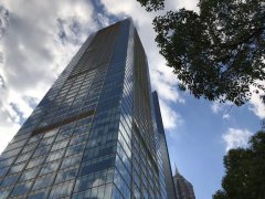 商标复审攻略：如何应对商标驳回挑战