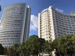 商标复审攻略：详解驳回后的有效操作步骤