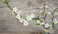 知识课堂“在线商标交易”