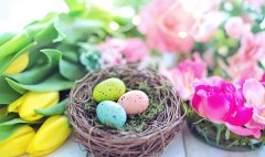 知识课堂“酒类商标申请流程”