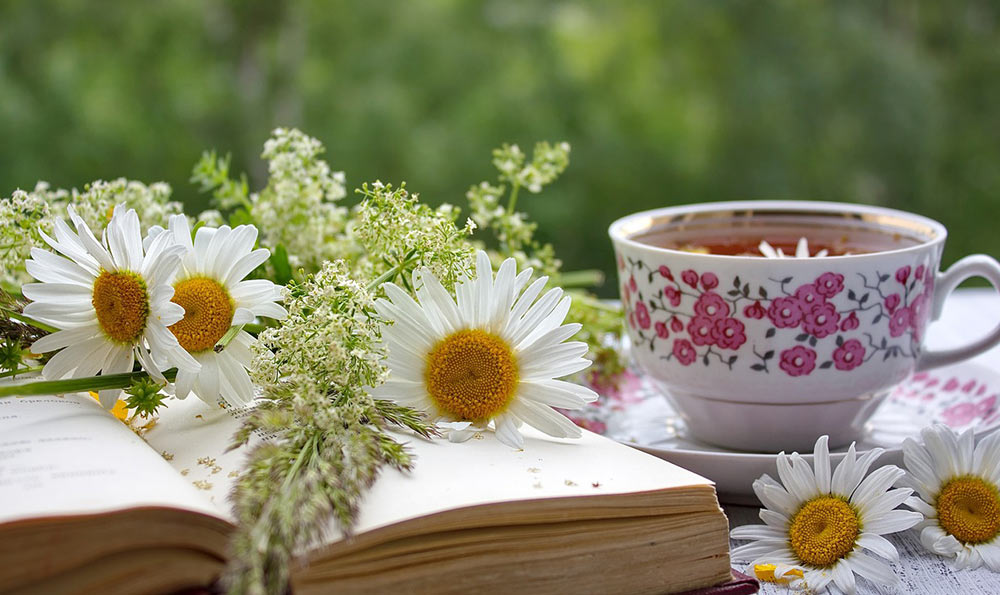 商标注册同日申请协商通知书