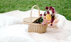 知识课堂“商标持有人证明文件范本”