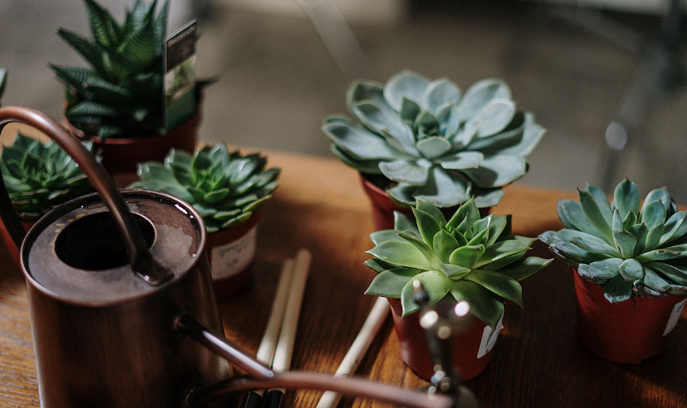 营业执照年检公示网