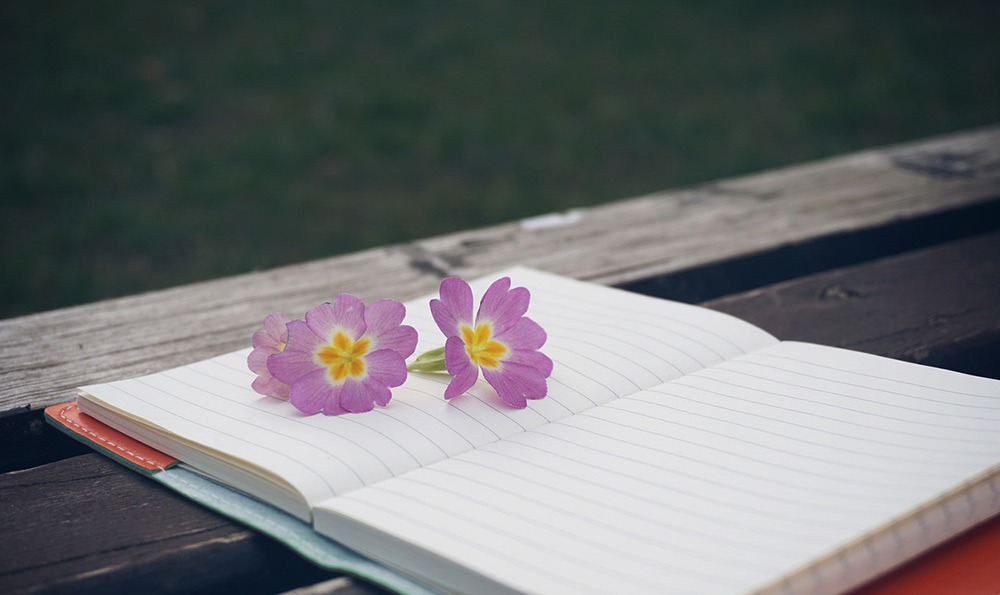 营业执照年检公示查询