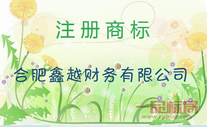 合肥鑫越财务有限公司