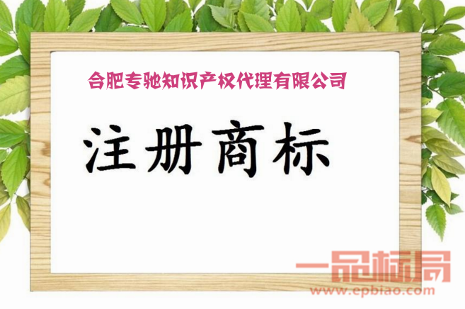 合肥专驰知识产权代理有限公司