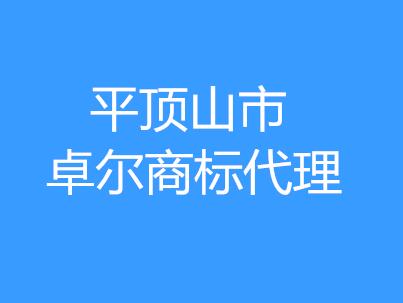平顶山市卓尔商标代理服务有限公司