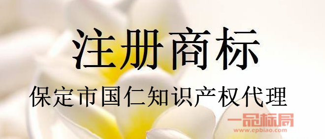 保定市国仁知识产权代理有限公司