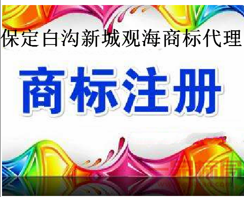 保定白沟新城观海商标代理服务有限公司