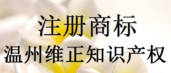 温州维正知识产权代理有限公司 温州维正知识产权代理有限公司