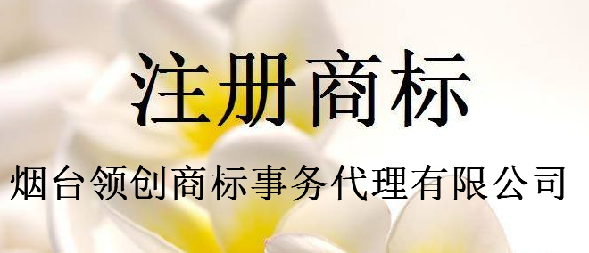 烟台领创商标事务代理有限公司 烟台领创商标事务代理有限公司
