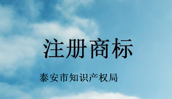 泰安市知识产权局 泰安市知识产权局
