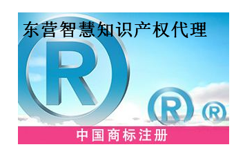 东营智慧知识产权代理有限公司