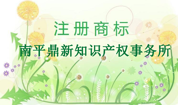 南平鼎新知识产权事务有限公司 南平鼎新知识产权事务有限公司