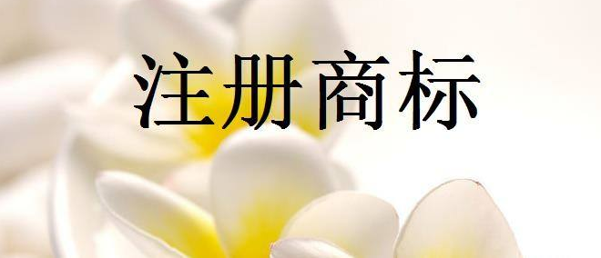 龙岩市中恒永信知识产权代理有限公司