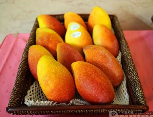 南宁市首个动物类地理标志“马山黑山羊”