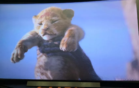 郑恺拍摄《狮子王》 电影画面遭指责 郑恺拍摄《狮子王》 电影画面遭指责