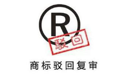 美国商标复审和上诉委员会任命新的副首席法官 美国商标复审和上诉委员会任命新的副首席法官