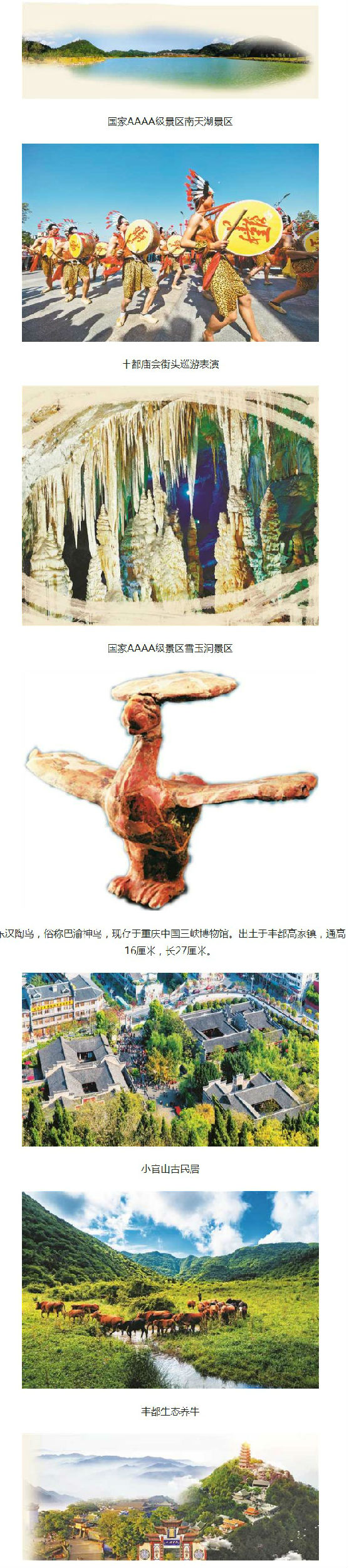 丰都肉牛 获多块国家级金字招牌 丰都肉牛 获多块国家级金字招牌