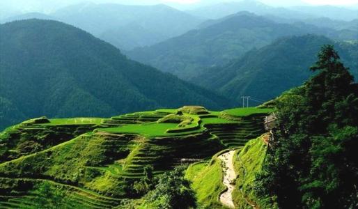 贵州拥有63件“中国驰名商标” 贵州拥有63件“中国驰名商标”