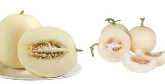 “阎良甜瓜”地理标志证明商标正式启用 “阎良甜瓜”地理标志证明商标正式启用