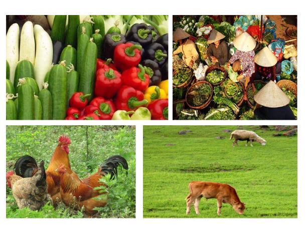 发展农业应该注册哪些商标? 发展农业应该注册哪些商标?