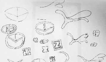 安徽男子状告众泰汽车 称其商标设计侵权索赔1000万(组图) 安徽男子状告众泰汽车 称其商标设计侵权索赔1000万(组图)