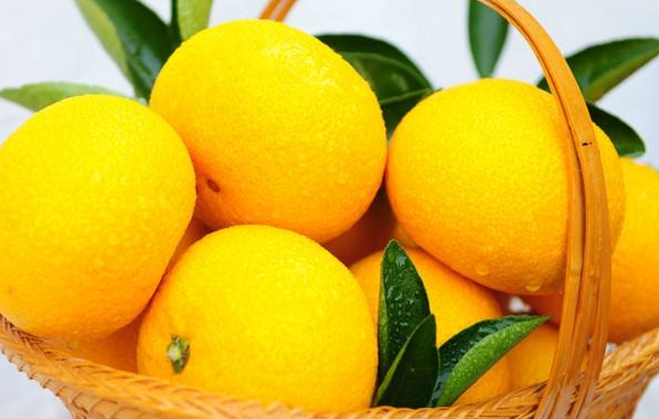 冒用他人牌子卖自产桔柚