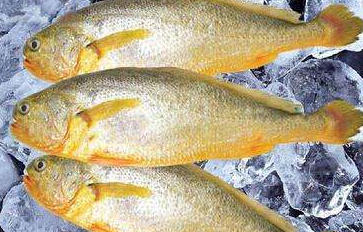 福建宁德:冒用他人商标 4195条大黄鱼被没收,还被罚款48960元 福建宁德:冒用他人商标 4195条大黄鱼被没收,还被罚款48960元