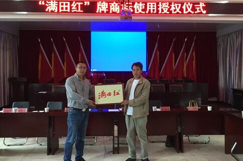 丽水市著名商标“满田红”落户青田章旦乡 丽水市著名商标“满田红”落户青田章旦乡