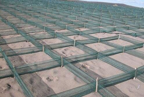 盐城“格网拦沙”获国家实用新型专利