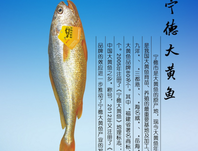“宁德大黄鱼”获评中国驰名商标 居全省设区市