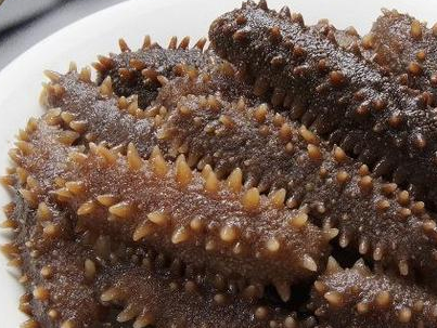 助力“霞浦海参”成功注册地理标志证明商标三