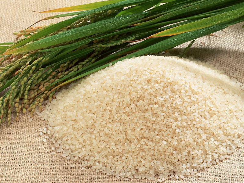 “滦南大米”填补了滦南县地理标志证明商标上