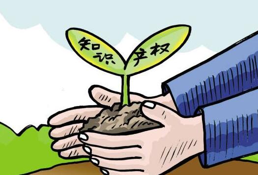 知识产权保护大会连云港开幕