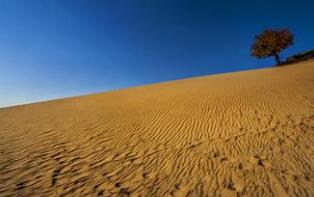 淮安地理标志商标总数稳居全国地级市第一